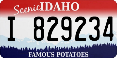 ID license plate I829234