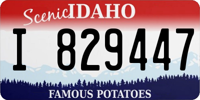 ID license plate I829447