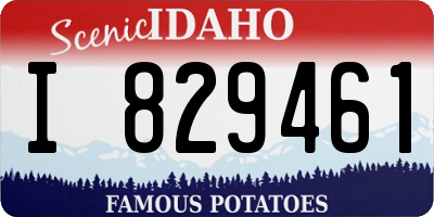 ID license plate I829461