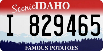 ID license plate I829465