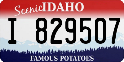 ID license plate I829507