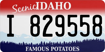 ID license plate I829558