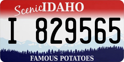 ID license plate I829565