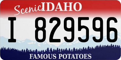 ID license plate I829596