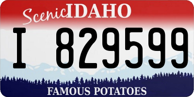 ID license plate I829599