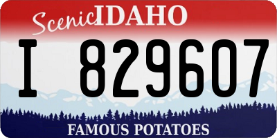 ID license plate I829607