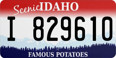 ID license plate I829610