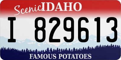 ID license plate I829613