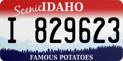 ID license plate I829623