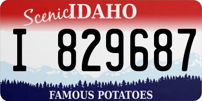 ID license plate I829687