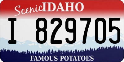 ID license plate I829705