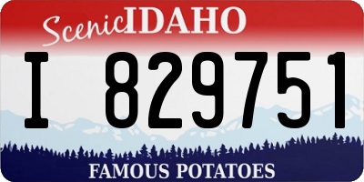 ID license plate I829751