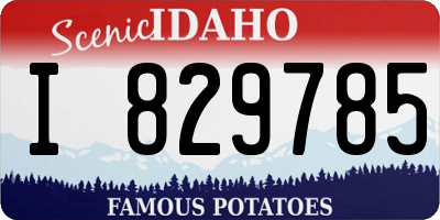 ID license plate I829785