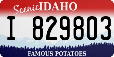 ID license plate I829803