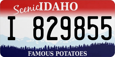 ID license plate I829855