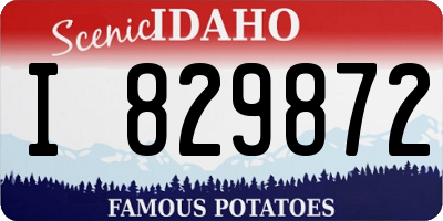 ID license plate I829872