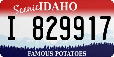 ID license plate I829917