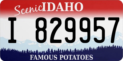 ID license plate I829957
