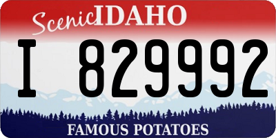 ID license plate I829992