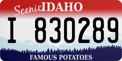 ID license plate I830289