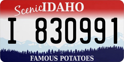 ID license plate I830991