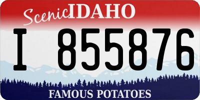 ID license plate I855876