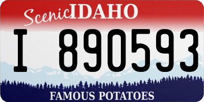 ID license plate I890593