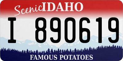ID license plate I890619