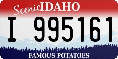 ID license plate I995161