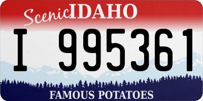 ID license plate I995361