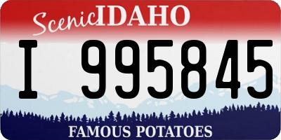 ID license plate I995845