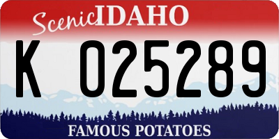 ID license plate K025289