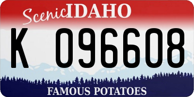 ID license plate K096608