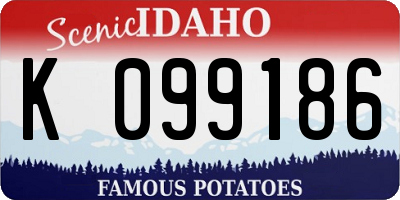 ID license plate K099186