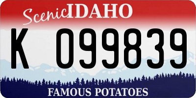 ID license plate K099839