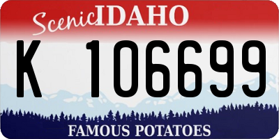 ID license plate K106699