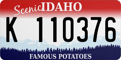 ID license plate K110376