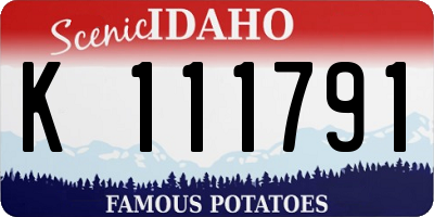 ID license plate K111791