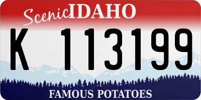 ID license plate K113199