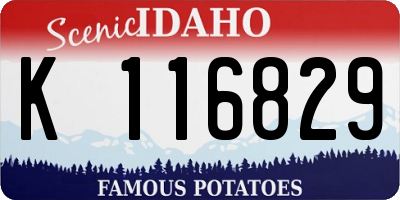 ID license plate K116829