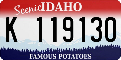 ID license plate K119130