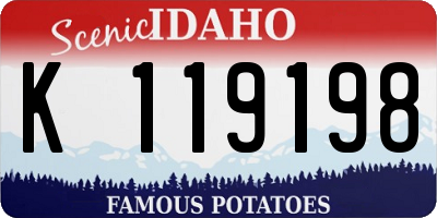 ID license plate K119198