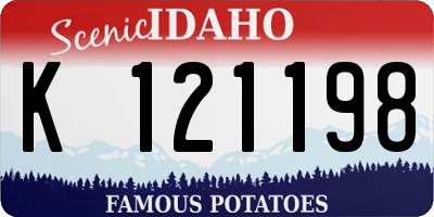 ID license plate K121198