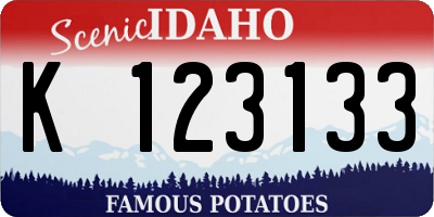ID license plate K123133