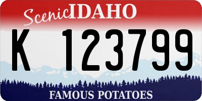 ID license plate K123799