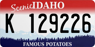 ID license plate K129226
