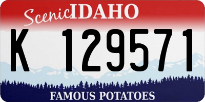 ID license plate K129571
