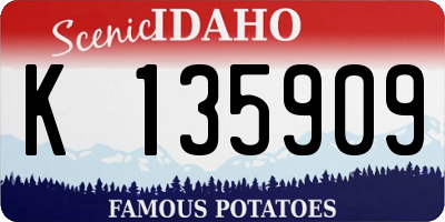 ID license plate K135909