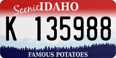 ID license plate K135988