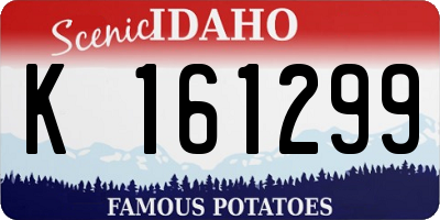 ID license plate K161299